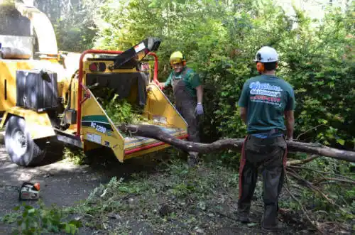 tree services French Valley